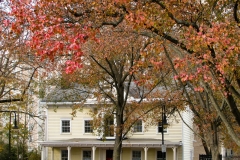 little-market_img_6035